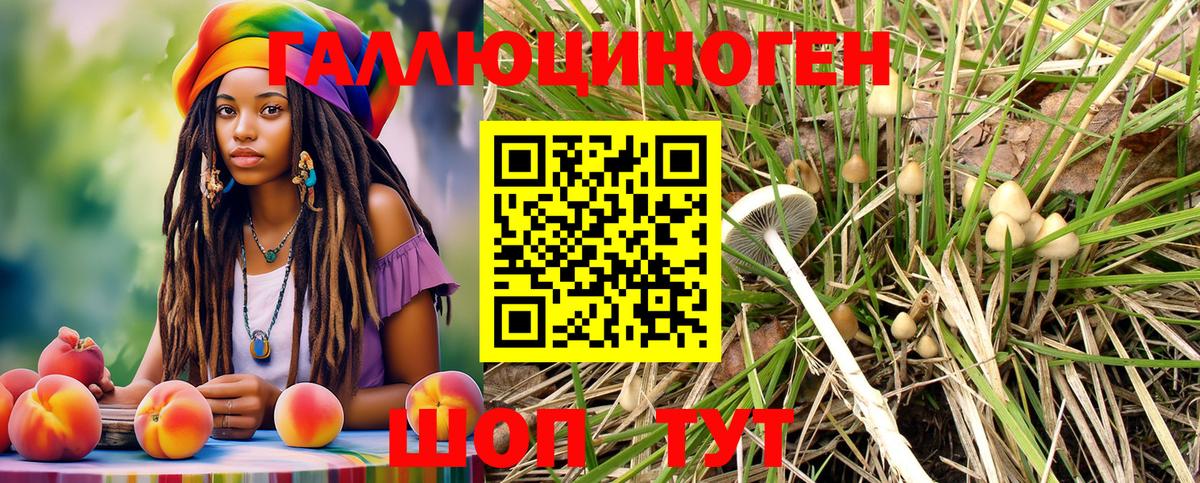 Псилоцибиновые грибы ЛСД  Тында 