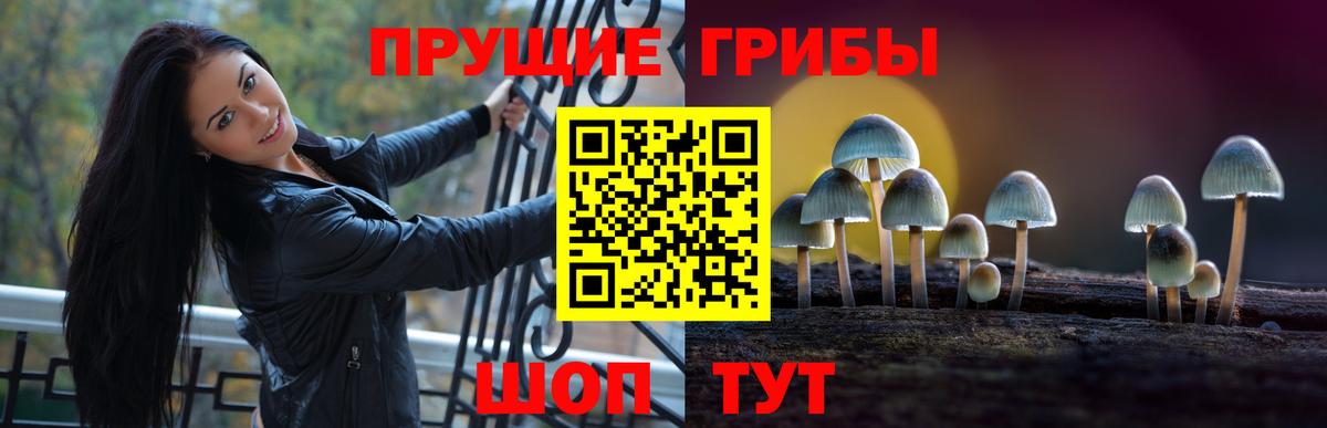 Галлюциногенные грибы Cubensis Тында